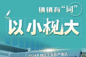小枧镇：两万多份中国粮“芯”在这里拔节生长丨“镇”有看头——四川镇域经济样本调查③图片