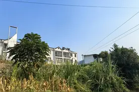 “头破血流的年轻人”去世，母亲：我现在想说话都没人说图片