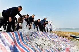 增殖放流 保护生态 50万尾鱼苗游入斧头湖图片