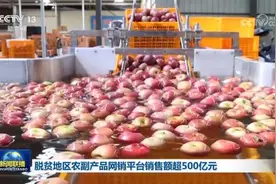 脱贫地区农副产品网销平台销售额超500亿元图片