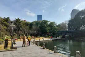 “江淮气旋+冷空气”使出“组合拳”，下周天气晴雨不定图片