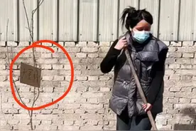 河北女子5年3次网购车厘子苗，都是海棠！自称大冤种，山东网友给她邮了两棵樱桃苗图片