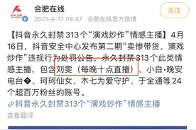 双面刘雯：靠“正义”引流，割韭菜发财图片