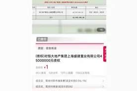 “对恒大地产集团有限公司1.2亿元债权”等今日撤拍 平台显示系因“信息有误”图片