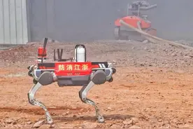 频频成为“显眼包”，浙产机器人加速“进化”图片