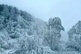 重庆城口：“冰雪+”冷经济发挥乡村振兴热效应图片