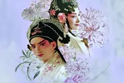 牡丹亭上谁书丹图片