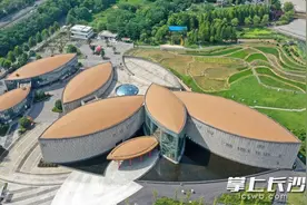 组图丨在隆平水稻博物馆，感受种子的力量图片