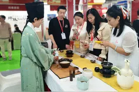 第十六届海峡两岸茶博会开幕图片