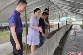 （身边的变化）湖南东安帮扶三峡移民闯新路 致富增收乐享幸福生活图片