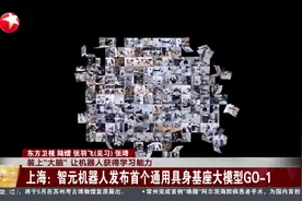 装上“大脑”让机器人获得学习能力 上海：智元机器人发布首个通用具身基座大模型GO-1视频封面