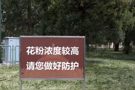 被困在花粉过敏里的人：有人为免“生不如死”每年花七千打针，有孩子从两岁多开始用药图片