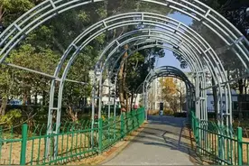 芜湖这座生态公园，又有新亮点！图片