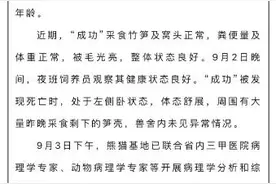 大熊猫“成功”猝然离世，网友伤心：“花花”没有妈妈了图片