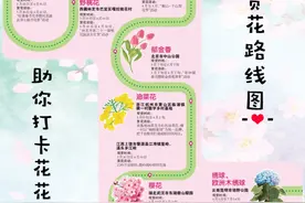 叮！春日赏花攻略 助你打卡“花花世界”图片