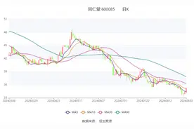 同仁堂：2024年上半年净利润同比增长3.49% 拟10派5元图片