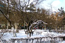 火热的哈尔滨还有这些大学可以逛：哈工大等多所高校开放参观图片