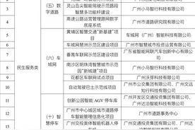 广州市公布新型智慧城市和“新城建”十大标杆应用场景图片