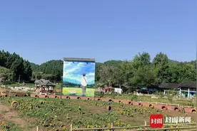 走进千万级粉丝的四川南充天兴桥村 看“网红村”的“冷思考”图片