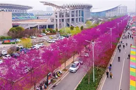 穿越花海 拥抱春天图片