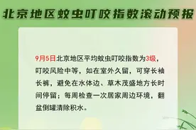 新闻多一度丨嗡嗡嗡……为什么秋天的蚊子咬人更狠？图片