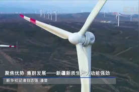 聚焦优势 集群发展——新疆新质生产力动能强劲图片