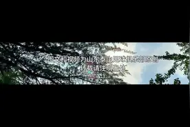 职业球员反哺青训，泰山精神一脉相承！崔鹏、唐晓程出任足校教练图片
