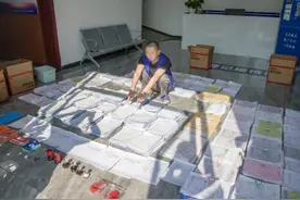 P图办理动物航空托运检疫证明 重庆一宠物航空托运公司伪造证明被审查起诉图片