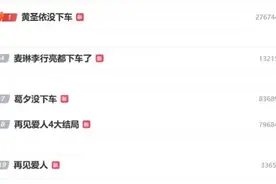 《再见爱人4》迎来大结局：李行亮麦琳和好，黄圣依、葛夕没有下车图片