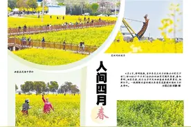 视觉 | 春暖田园 油菜花香图片