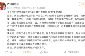 官方回应孕妇列车上被行李箱砸伤：行李箱被其主人放在贴有安全标识的行李架隔断处图片