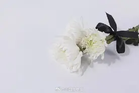 高考601分读殡葬：让死者有尊严，也要让生命的“摆渡人”有尊严图片