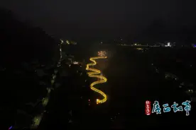 说说那些关于龙的真真假假图片