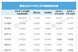 锂电企业上半年储能业绩出炉，这家营收增速超过宁王图片