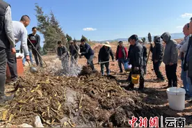 从春天出发 向梦想远航图片