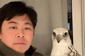 80后小伙在法国抓野兔被四川网友实名羡慕 自称经常来成都学习兔子的新吃法图片