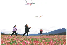 公平湖畔花如海 踏青赏花正当时图片