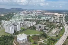 马中关丹产业园区：行稳致远 欣欣向荣图片
