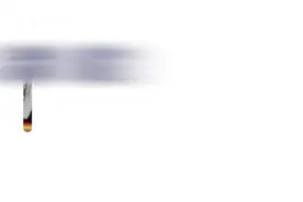 轮滑也能跑马 亚洲首个融合马拉松四月起跑图片
