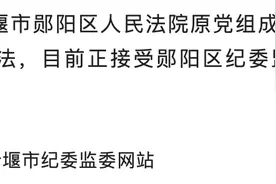 湖北十堰市郧阳区人民法院原党组成员、副院长、四级高级法官肖国清被查图片
