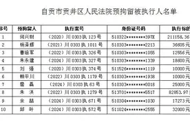 自贡市贡井区人民法院预拘留公告（第一期）图片