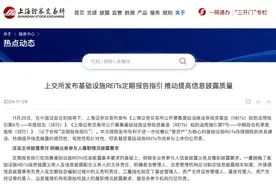 沪深交易所发布REITs信披新规，一文看懂REITs年报、中报、季报披露新要求图片
