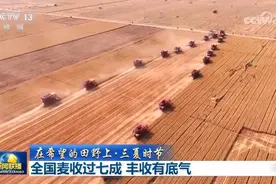 全国麦收过七成 丰收有底气图片