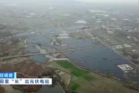 评论丨耗资超800万高标准农田变光伏电站，警惕“农光”双重失守图片