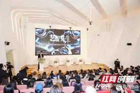 大咖齐聚梅溪湖艺术博物馆，畅谈未来文化生态图片