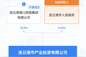 注册资本313亿元！江苏一产业投资公司成立图片