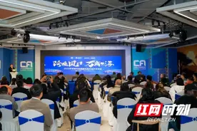 2025年首场中非跨境电商交流沙龙在长沙举行图片