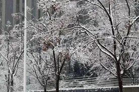 启动超时免罚 商户歇业保护 饿了么在汉启动特殊天气应急机制图片