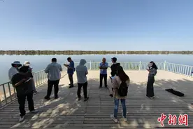 “沿着河湖看新疆”走进罗布淖尔：绿化覆盖率高、动植物种类较多图片