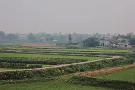 “镇”兴183⑯ | 泸县方洞镇：从“正方形”到“长方形”，这里的水稻种植为何变了队形？图片